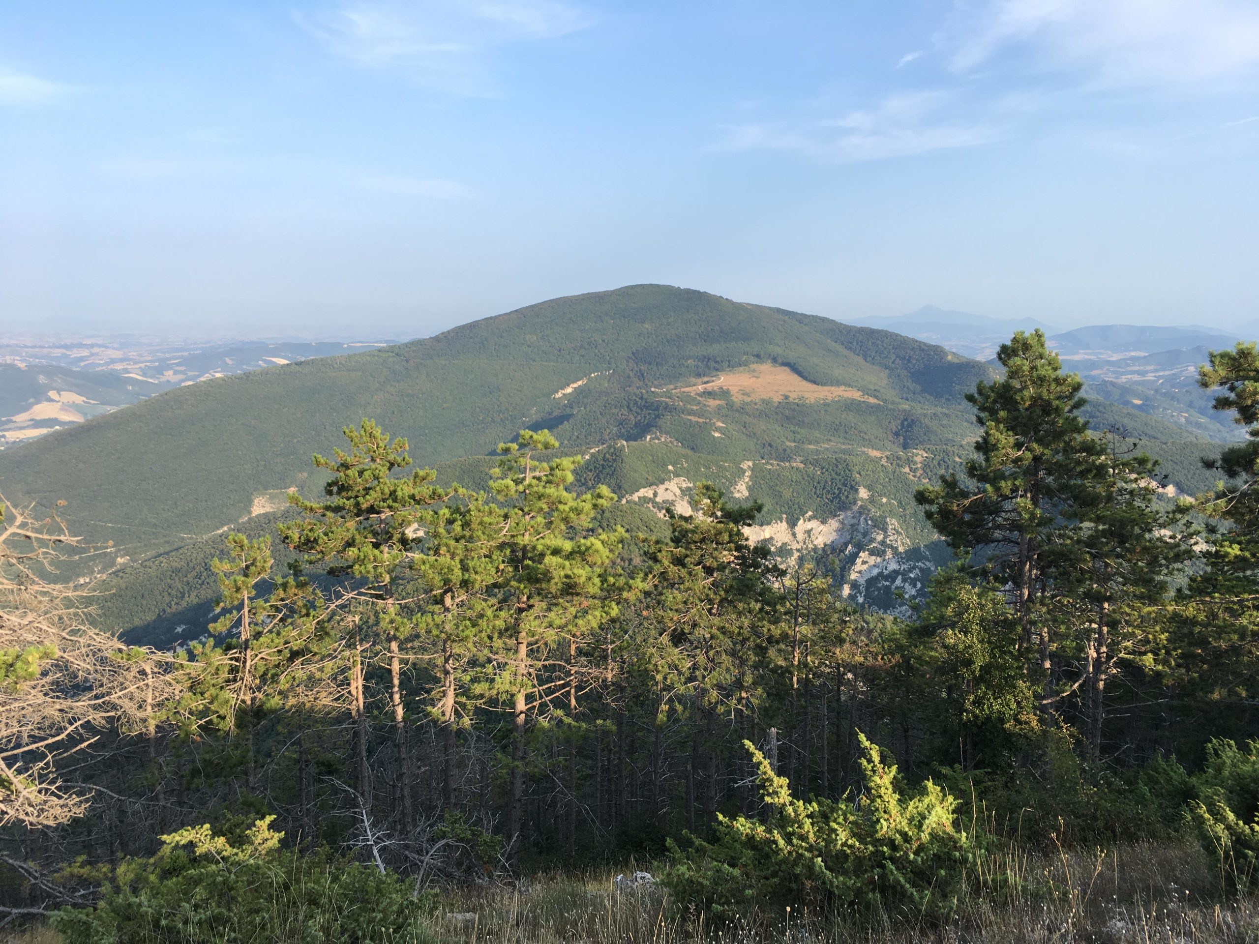 In Vetta_4 (vista Monte Paganuccio - Gola del Furlo)